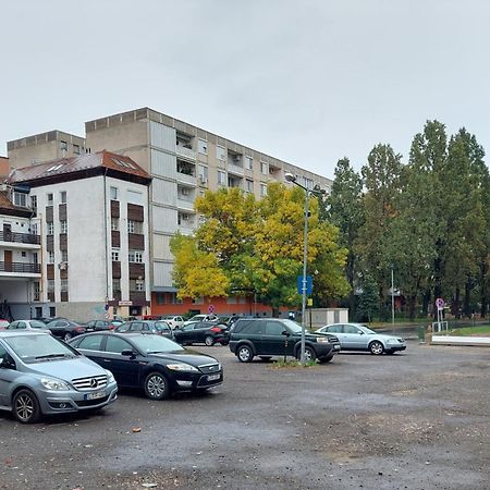 Central Gallery Apartment Debrecen Esterno foto